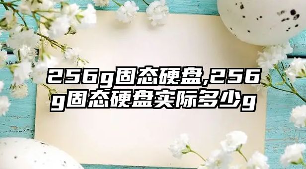 256g固態硬盤,256g固態硬盤實際多少g