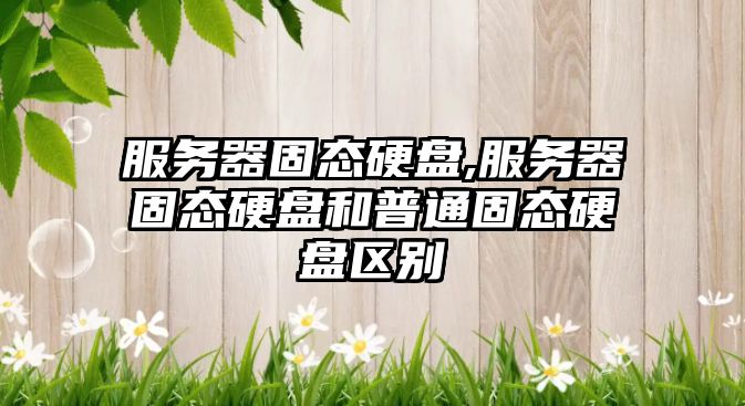 玉翠科技網