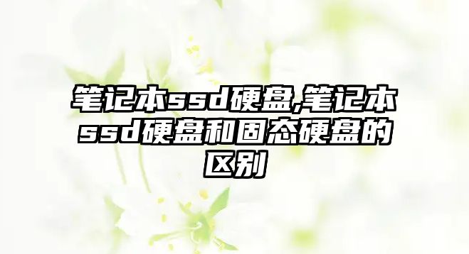 玉翠科技網