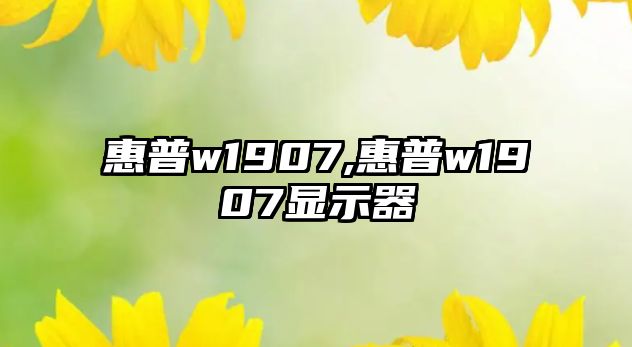 惠普w1907,惠普w1907顯示器