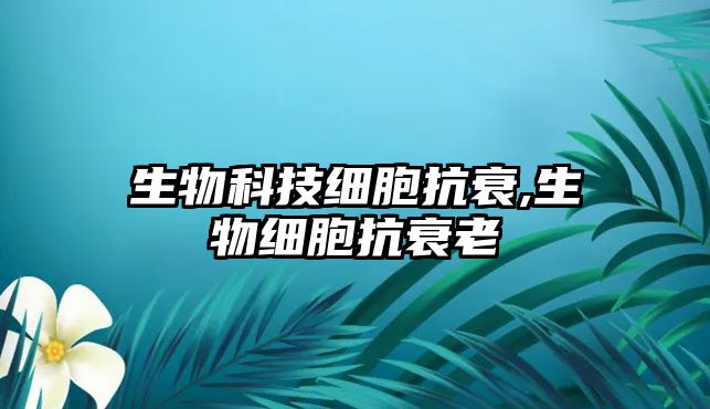 玉翠科技網