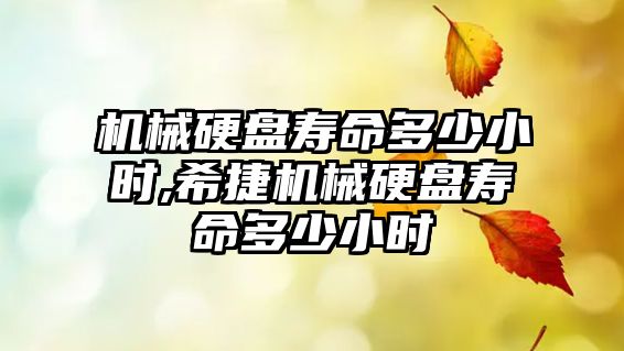 玉翠科技網