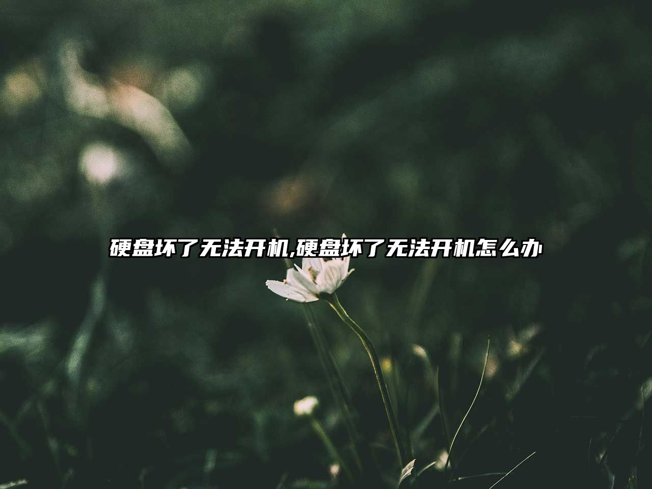 玉翠科技網