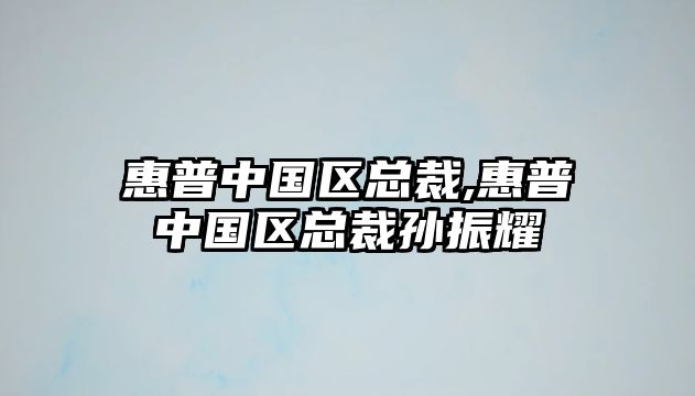 惠普中國區總裁,惠普中國區總裁孫振耀