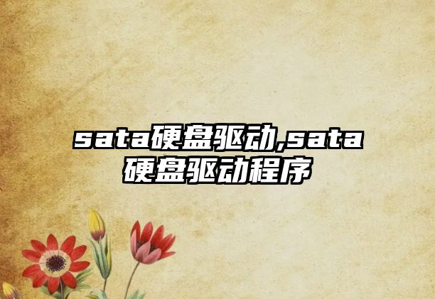 sata硬盤驅動,sata硬盤驅動程序