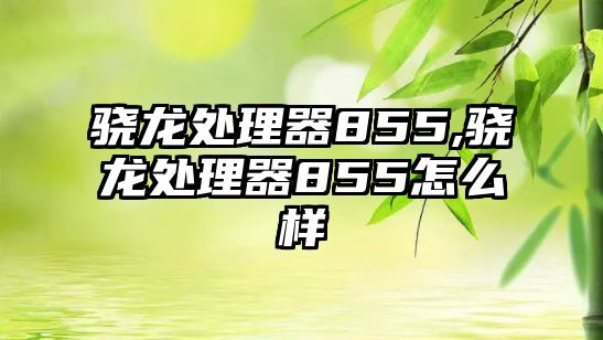 驍龍?zhí)幚砥?55,驍龍?zhí)幚砥?55怎么樣